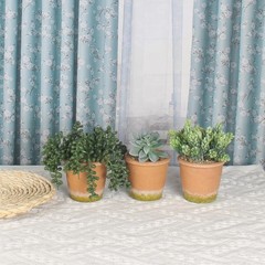 COTSEN 3 Pcs Artificial Succulent Plants Potted False Green
