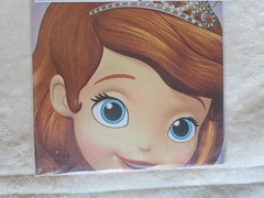 Disney Sofia The First Birthday Party Banner 28 X 74 Inches