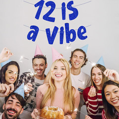 12 Is a Vibe Banner, Pre-Strung Glitter Blue 12Th Birthday Banner, Funny 12Th Bi