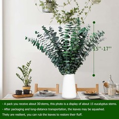 30 Pcs Dried Eucalyptus Stems for Shower, 17» Natural Real Preserved Green