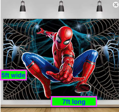 NEW Spiderman 5Ft X 7Ft Web Banner Logo birthday party backdrop decoration prop