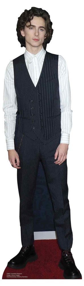 Timothee Chalamet Waistcoat Style Celebrity Mini Cardboard Cutout