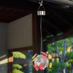 Delicate Solar Butterfly Light for Transforming Your Garden and Yard Space