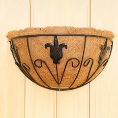 Decorative Iron Wall Hung for Stylish Indoor and Outdoor Plant Displays