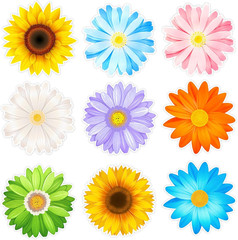 63Pcs Spring Flowers Cutouts Paper with 100Pcs Glue Points for Wall Bulletin Boa