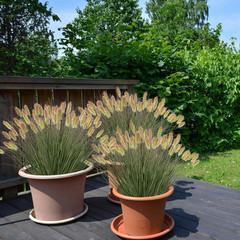 Ttranewsoo Artificial Grass, Fake Shrubs, Green12