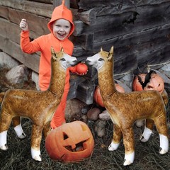 Jet Creations 2 Pack Pet Animals Alpaca Llama Party Home Classroom Holiday Decor