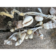 Seashell garlands Coastal Shell wire decor nautical natural marine beach ocean 2