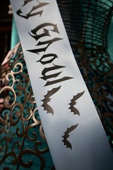 NEW Birthday Ghoul with bats Sash Gothic Party Sash Fit up to 4XL