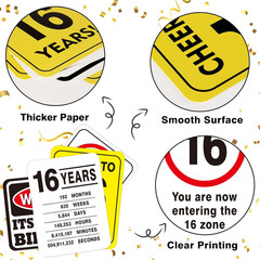 16Th Birthday Party Decorations – 9PCS Happy 16 Years Old Birthday Party Deco…