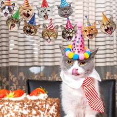 Cat Banner Party Decorations for Backdrop Cat Happy Banner Garland Sign for G…