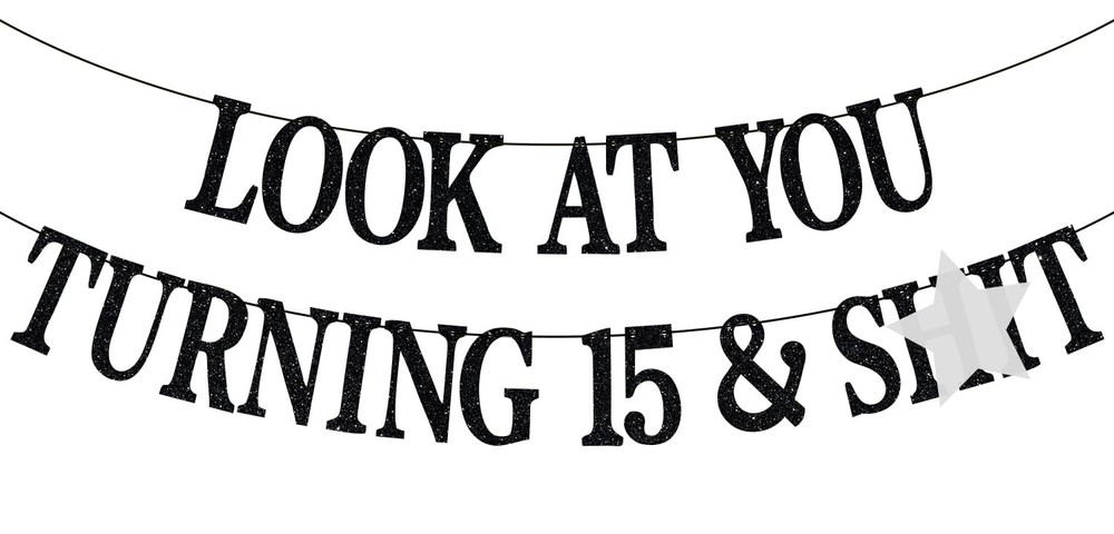 Happy 15th Birthday Banner, Cheers to 15 Years, Level 15, Teen Boys Girls Fun