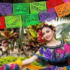 DomeStar Mexican Party Decoration, 18 Feet Plastic Papel Picado Fiesta Banner Ci