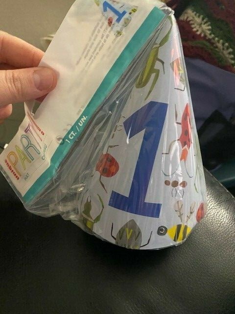 First Birthday Party Hat With Bugs New!!!