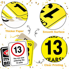 13th Birthday Party Decorations Caution Wall Signs Door Window Yard 9 Pcs