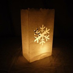 Quasimoon Snowflake Paper Luminaries / Luminary Lantern Bags Path Lighting (1…