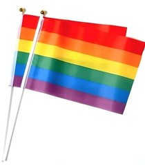 Pride Party Festival Accessories Rainbow Decoration Glitter Flags Bunting LGBTQ