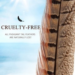 20pcs Male Pheasant Feather Natural Ringneck Tails Feathers 12-14inch 30-35cm…