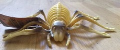 2 x SPIDER SKELETONS creepy Town 21.5×12.x6cm Solid Plastic Funky Halloween Fun