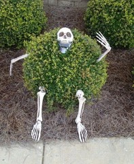 Realistic Halloween Skeleton Head & Hand Stakes Outdoor Garden Lawn Decoration