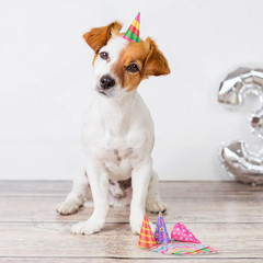10 Pcs Glitter Mini Birthday Party Hats Multicolor Paper Cone Hats