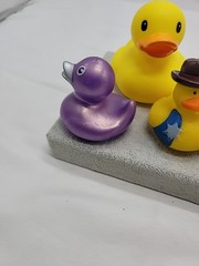 Lot of 6 Assorted Rubber Ducks Jeep Lovers Duckies