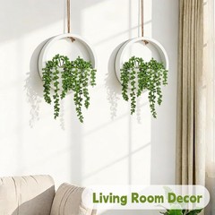 7.9 inches (W) x (H) x 0.8 (D), 1 Pcs Green Succulents