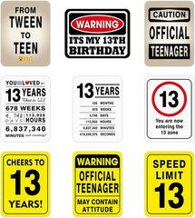 13th Birthday Party Decorations Caution Wall Signs Door Window Yard 9 Pcs