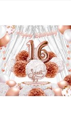 Girls 16th Birthday Decorations Rose Gold Sweet 16th 41 Piece Party Kit RRP £30