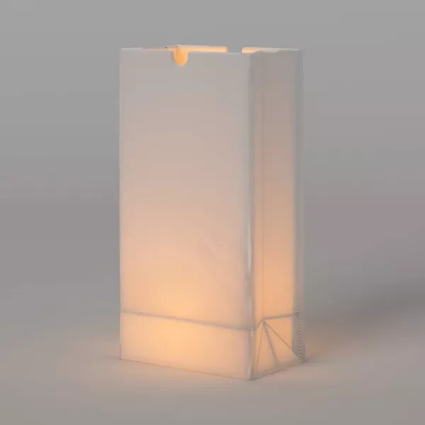 Sun Squad™ Resin Luminaria Bags – 6Pack