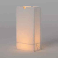 Sun Squad™ Resin Luminaria Bags – 6Pack