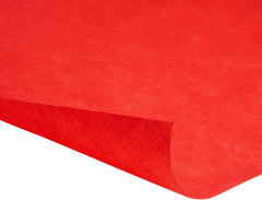 Red Carpet Runner for Party – Ceremony Entrance Decor with Red Party Carpet – Ve