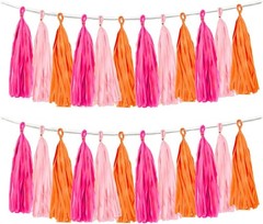 Rose red Pink and Orange Tassel Garland Banner Paper Tassels for Party