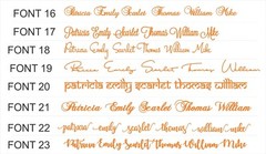 Personalized Wedding Place Cards Acrylic Table Name Calligraphy Wedding Any Font