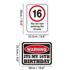 16th Birthday Party Decorations – 9PCS Wall Signs Funny Tags for Teens 16 Yea…