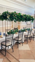 Step by Step DIY Baby Shower Gender Reveal Party Planner Decor Guide