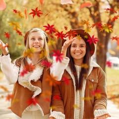 Larrel 200 Pcs Fall Leaves，4 Colors One Size, Red, Crimson, Orange, Green