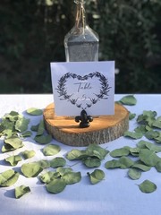 300+ Pcs Dried Real Eucalyptus Leaves, Rustic Boho Wedding Table Decor, 100% …