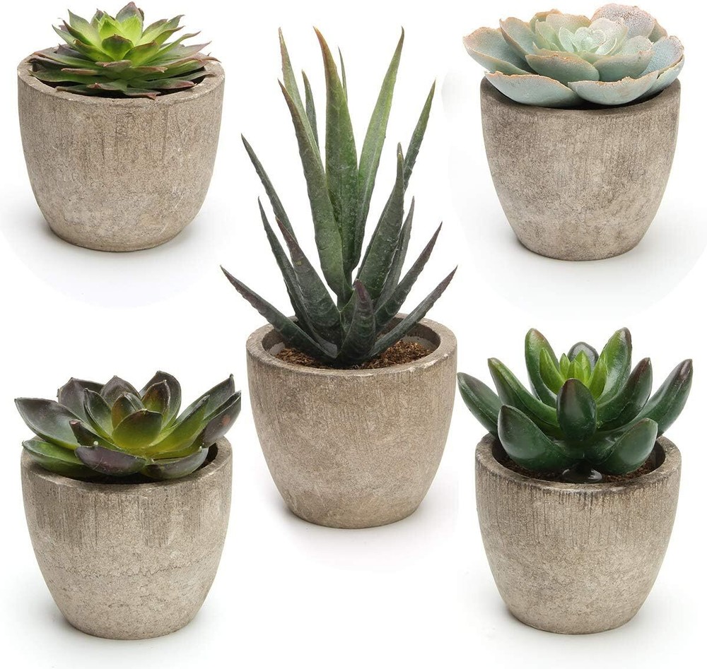 Coitak Artificial Succulent Plants Potted, Assorted Decorative Faux Green
