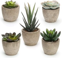Coitak Artificial Succulent Plants Potted, Assorted Decorative Faux Green