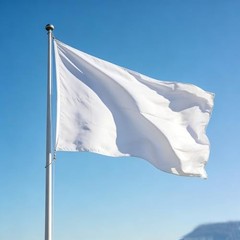 Flag 3×5 Ft – Polyester Lightweight Blank Flag Banner with 2 Brass 1 Pc White