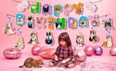 Cat Birthday Party Decoration Birthday Banner Balloon & Cat Swirl Party Supplies