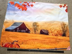 Backdrops Puppet Shows or Dollhouse Miniature Backdrops; 18 different scenes