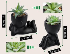 Der Rose Set of 2 Fake Plants Artificial Succulent for Office Black