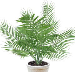 18 Branches 27 Inch Artificial [Palm] [Leave]S 6 PCS Large Faux / Fake Green