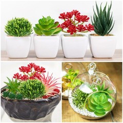 QUOZUO Artificial Succulents Plants, 16pcs Fake 1.8-5.1 inches, Colorful