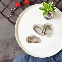 Artificial Oysters, 6 Pcs Simulate Fake Realistic Oyster Models for Home Kitc…