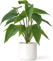 Mkono Fake Plants in Ceramic Pot, 11″ Potted Artificial for Home White