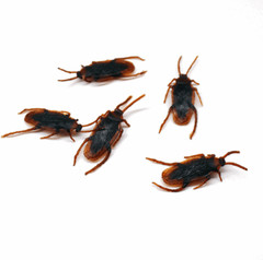 Prank Realistic Rubber Fake Cockroaches Creepy Cock Roach Bugs Gag For Kid 80pcs