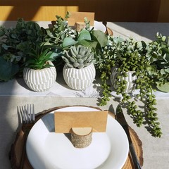 Winlyn 3 Pack Artificial Succulent Plants in Gray Geometric Concrete Green